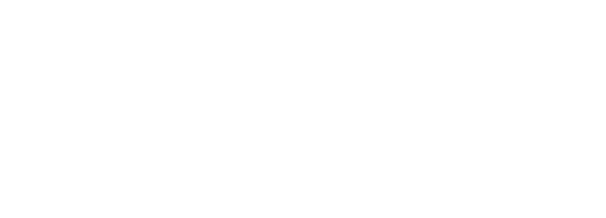 REVERSE399